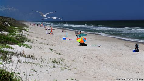 canaveral national seashore nude beach|Canaveral National Seashore: Floridas longest。